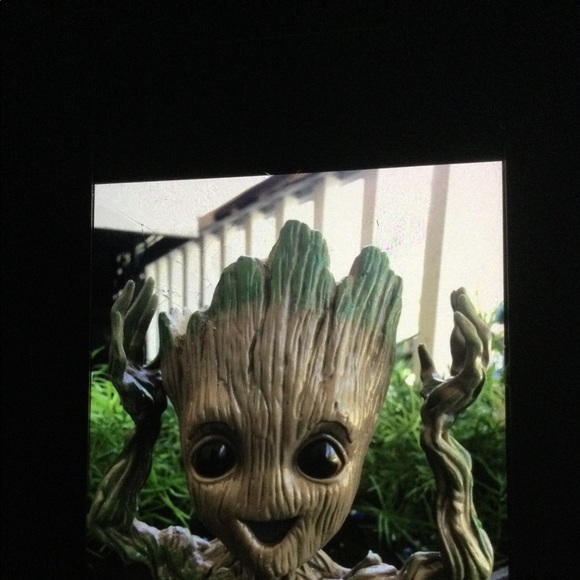 Grootplanter - Picture 3 of 3